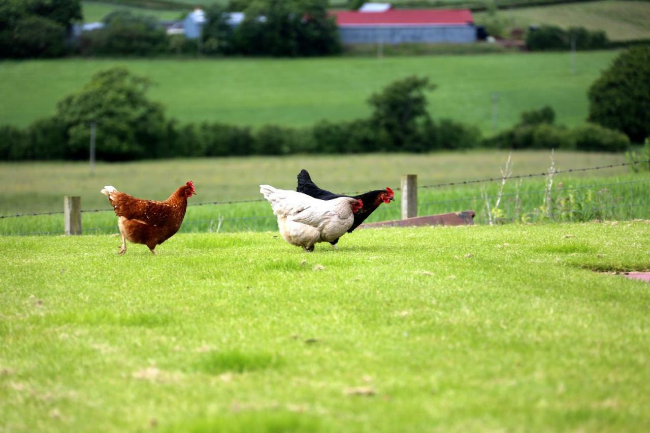 Crofthead Farm House Tarbolton Esterno foto