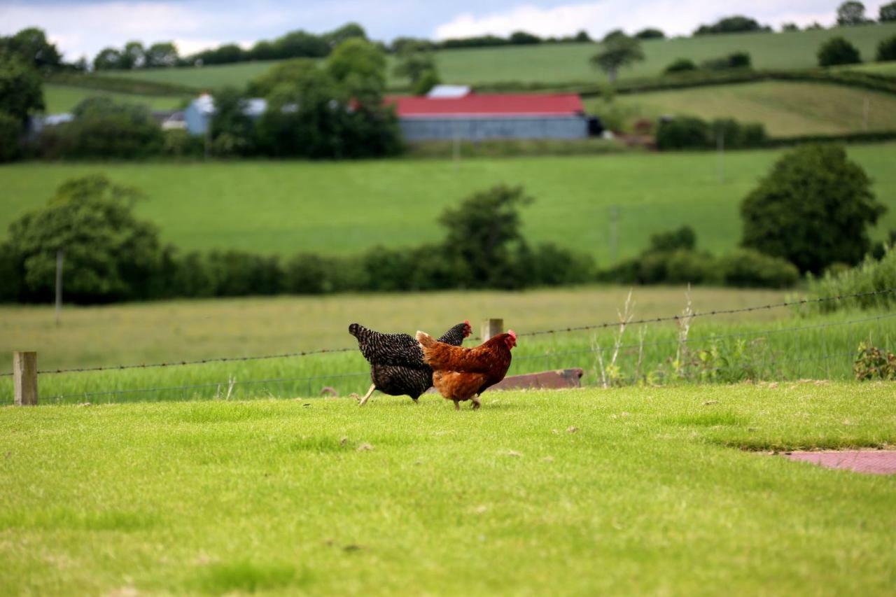 Crofthead Farm House Tarbolton Esterno foto