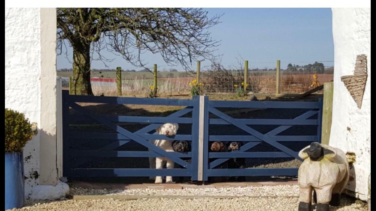 Crofthead Farm House Tarbolton Esterno foto
